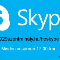 Csapathős Skype megbeszélés
